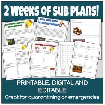 Preview of 2 WEEKS of sub plans or remote learning!  Digital too!  Just print and go! 