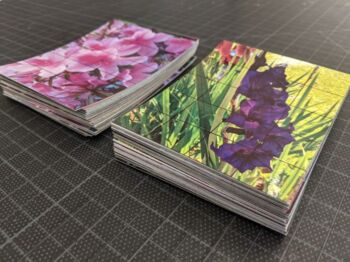 Preview of BUNDLE of FLOWERS - 2 DECKS of Reference Photo Cards