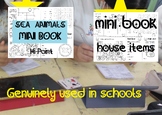 2 mini books with vocabulary activities: Household Items &