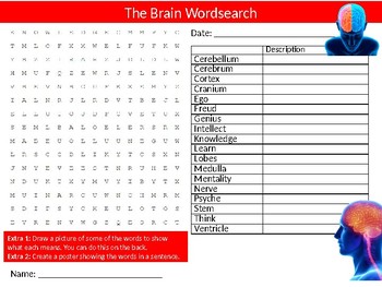 Preview of 2 x The Brain Wordsearch Sheet Starter Activity Mind Psychology