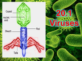 20.1 Viruses Guided Notes and PowerPoint
