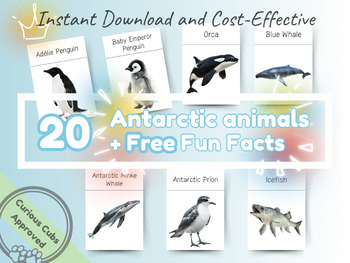 Preview of 20 Antarctic Animals & Fun Facts, Montessori Flashcards, Educational Flash Cards