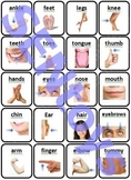 20 Body Parts Photo Flash Cards. Autism Visual Speech Ther