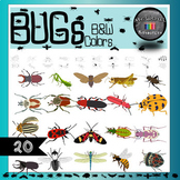 20 Bugs and Mini Beasts Clipart