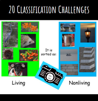 Preview of 20 Editable Classification Challenges