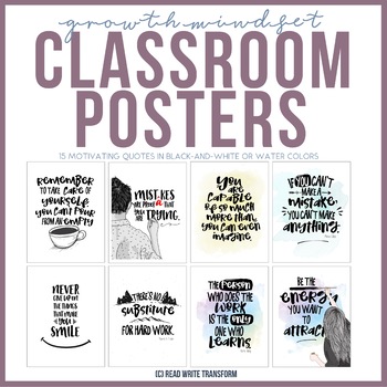 Preview of 15 Growth Mindset Classroom Posters in 2 Styles