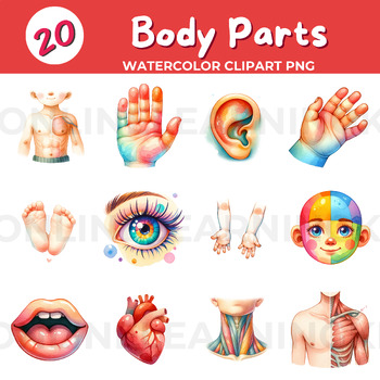 Preview of 20 Human Body Parts Clip Art PNG