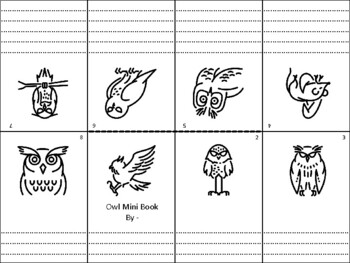 Preview of 20 Owl Mini Books, Picture Writing, Back to School Week Activity