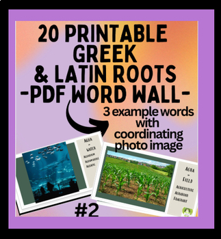 Preview of 20 Printable Greek Latin roots WORD WALL pdf #2