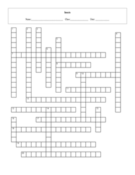 20 Question Insects Crossword with Key by Maura Derrick Neill TpT