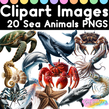 Preview of 20 Realistic Sea Animals Marine Clipart Images PNGs Commercial Personal Use