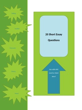 Preview of 20 Short Essay Questions: Use with ANY novel or short story!