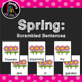 20 Spring Scrambled Sentences PLUS recording pages