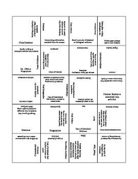 Preview of 20 Square Crime Scene Basics Vocabulary Puzzle