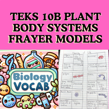 Preview of 20 Terms! TEKS 10B Plant Systems Vocabulary Activity (Frayer Model Cards)