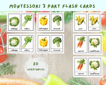 Preview of 20 Vegetables Flashcards  | 3 part Flash cards Montessori Learning