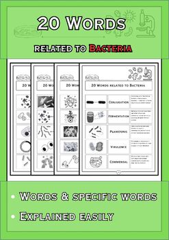 Preview of 20 Words: Bacteria