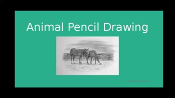 Preview of 20 days of Animal Art Drawing Images middle school high school class college