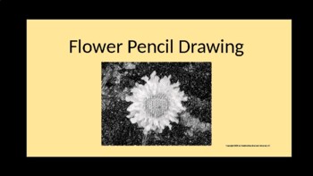 Preview of 20 days of Flower Art Drawing Images middle high school college still life