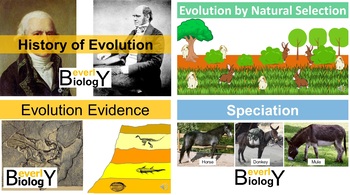 Preview of 20% off Evolution bundle: History, Evidence, Natural selection, Speciation, etc.