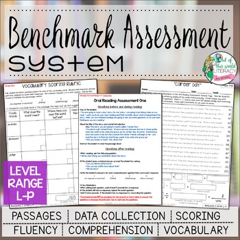 Preview of Benchmark Assessment System Range L-P