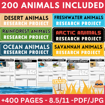 Preview of 200 Animals Research Project Templates Bundle | Informational Report Writing