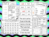 200 Printable Word Families Flashcards, Worksheets, and Ac