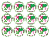2021 Girl Scouts Inspired Year Tags Traditional Colors