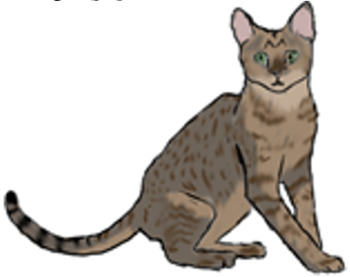 Preview of Animal Clipart