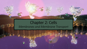 Preview of 2023 IB Bio: Unit B Form & Function: Chptr B2.1 Membranes & Transport Part 1 & 2