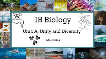 Preview of 2023 IB Biology Chapter A1: Molecules Bundle