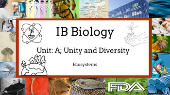 Preview of 2023 IB Biology Chapter A4: Ecosystem Bundle