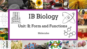 Preview of 2023 IB Biology Chapter B1: Molecules Bundle