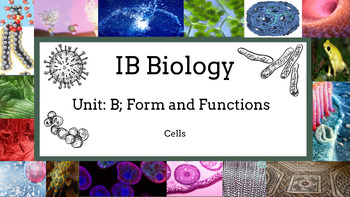 Preview of 2023 IB Biology Chapter B2: Cells Bundle