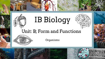 Preview of 2023 IB Biology Chapter B3: Organisms Bundle