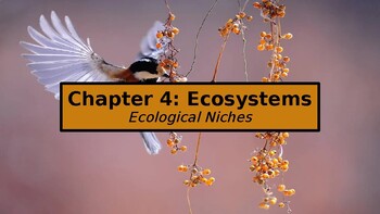 Preview of 2023 IB Biology: Unit B Form & Function: Chapter 4B.2 Ecological Niches