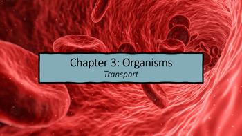 Preview of 2023 IB Biology: Unit B Form & Function: Chapter B3.2 Transport Part 1 & 2