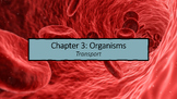 2023 IB Biology: Unit B Form & Function: Chapter B3.2 Tran