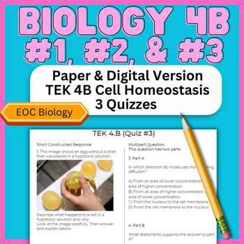 Preview of 2024 Biology New Question Types TEKS 4B Quizzes (Cell Homeostasis - STAAR EOC)