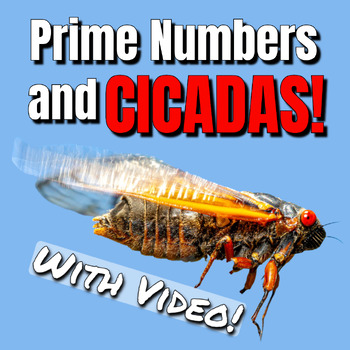Preview of 2024 Cicada Emergence and Prime Numbers - Unlocking a 13 and 17 Year Mystery!
