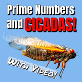 2024 Cicada Emergence and Prime Numbers - Unlocking a 13 a