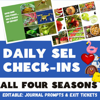 Preview of Social Emotional Check-ins | All 4 SEASONS SEL Bundle! Summer Fall Winter Spring