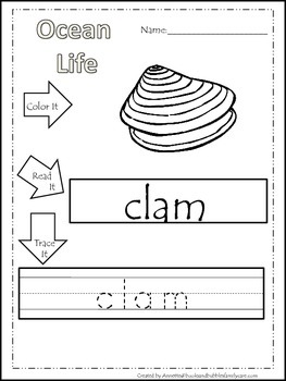 22 ocean life themed printable preschool worksheets color