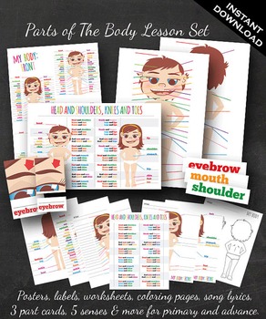 Preview of Body Parts - 220 Piece Body Part Lesson