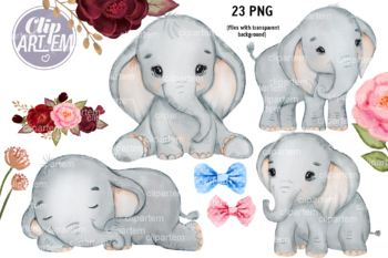 23 Clip Art Cute Elephant Bundle, watercolor red burgundy floral PNG set