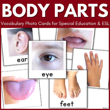 body parts flash cards by angie s teachers pay teachers