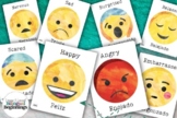 24 Bilingual Spanish/English Emotions Flashcards
