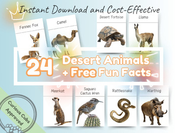 Preview of 24 Desert Animals with Fun Facts, Montessori Flashcards, Educational Flash Cards