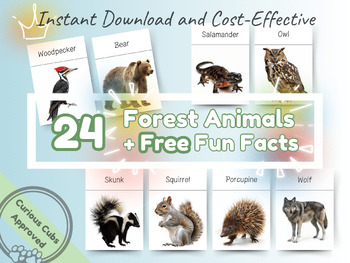Preview of 24 Forest Animals with Fun Facts, Montessori Flashcards, Educational Flash Cards