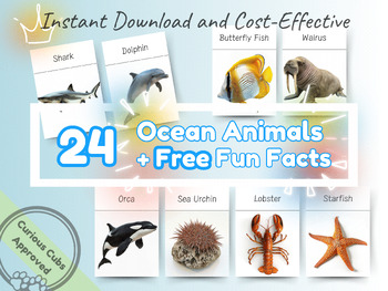 Preview of 24 Ocean Animals with Fun Facts, Montessori Flashcards, Educational Flash Cards